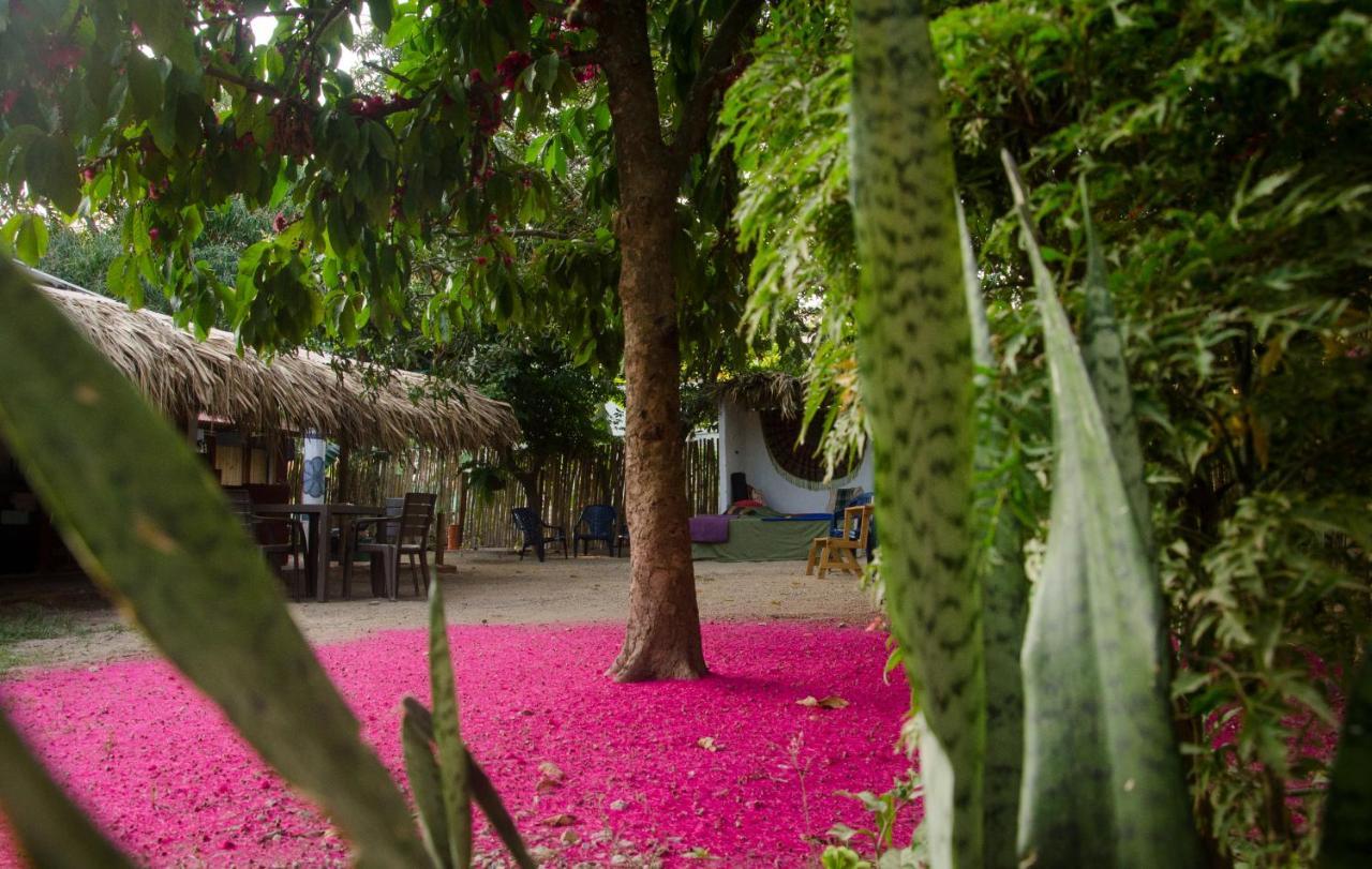 Hostal Corazón de Tagua Palomino Exterior foto