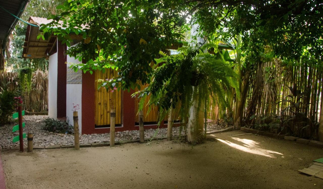 Hostal Corazón de Tagua Palomino Exterior foto